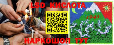 индика Будённовск