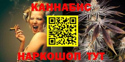 индика Будённовск