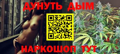 индика Будённовск