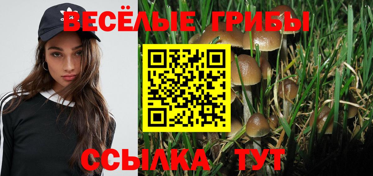 Чехов  Галлюциногенные грибы Cubensis  Вход с VPN 
